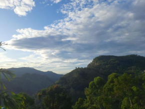 Aloft View